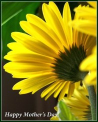 3518724362_30bc23669d