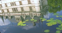 3226938850_d0c67b928b(2)