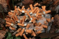 3179517359_6f61102ca2_b