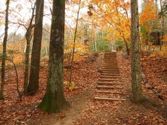 293578678_635dbce7b5