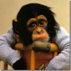 monkey1
